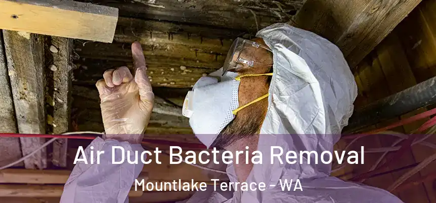 Air Duct Bacteria Removal Mountlake Terrace - WA