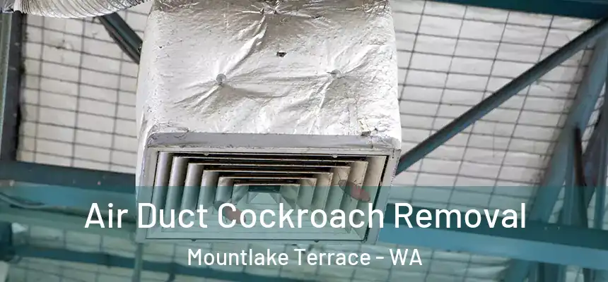  Air Duct Cockroach Removal Mountlake Terrace - WA