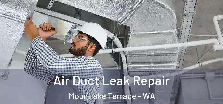  Air Duct Leak Repair Mountlake Terrace - WA