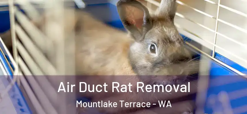  Air Duct Rat Removal Mountlake Terrace - WA