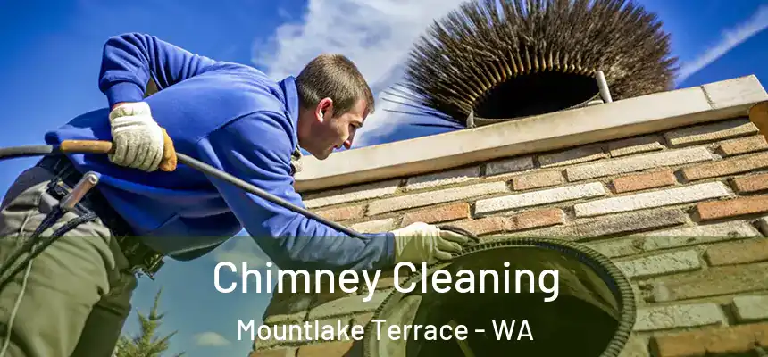  Chimney Cleaning Mountlake Terrace - WA
