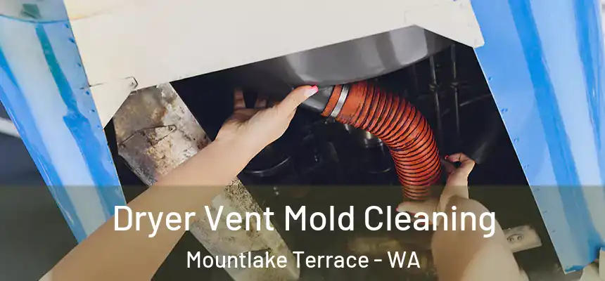  Dryer Vent Mold Cleaning Mountlake Terrace - WA