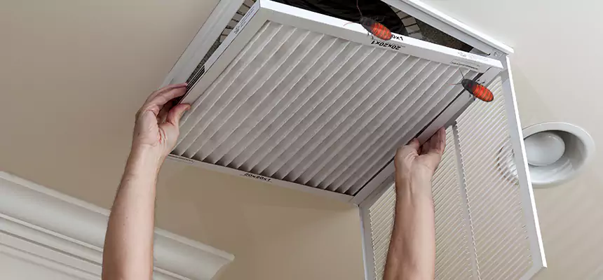 Preventive Cockroach-Proofing for Ducts in Mountlake Terrace