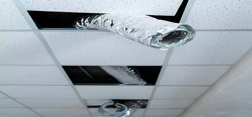 Affordable HVAC Sanitizing After Pest Removal in Mountlake Terrace