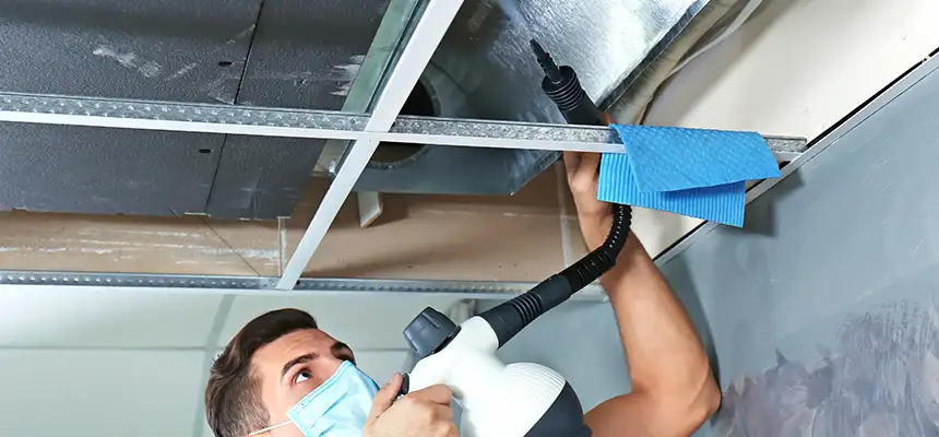 Our Air Duct Rodent Removal Services in Mountlake Terrace, WA
