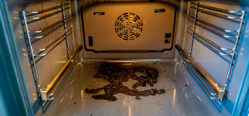 Our Dryer Vent Mold Cleaning Services in Mountlake Terrace, WA