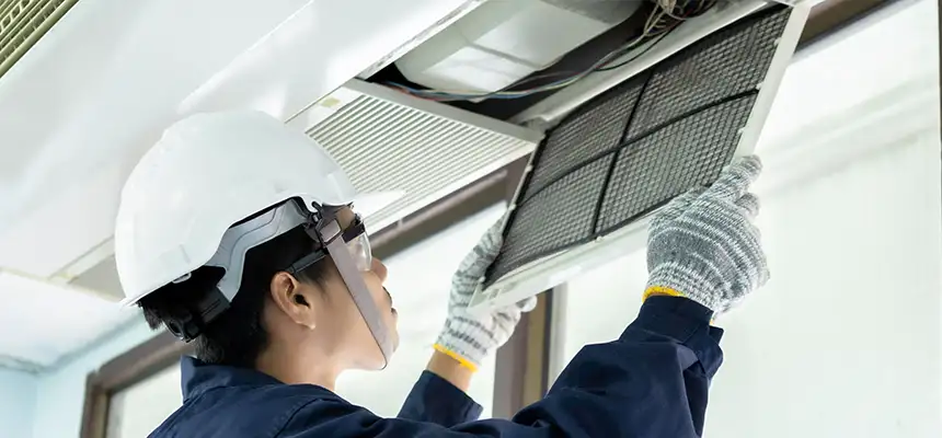 Our Lint Trap Cleaning Service Services in Mountlake Terrace, WA