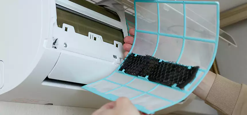 Gentle Ductwork Odor-Control Pet Dander Duct Cleaning in Mountlake Terrace, WA