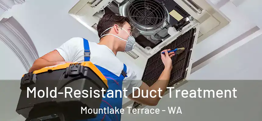  Mold-Resistant Duct Treatment Mountlake Terrace - WA
