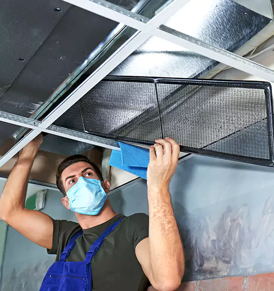 Professional Air Duct Pollen Cleaning in Mountlake Terrace, WA