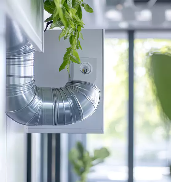 Professional Eco-Friendly Duct Cleaning Services in Mountlake Terrace, WA