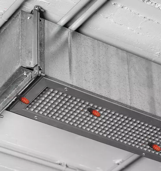 Affordable Insect Removal from Air Ducts in Mountlake Terrace, WA