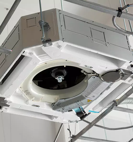 Professional Roof Vent Lint Removal Mountlake Terrace, WA