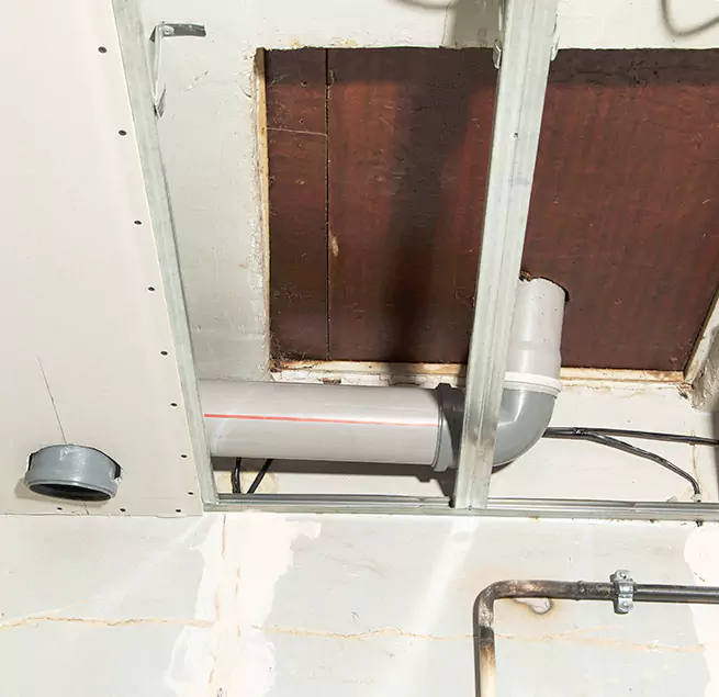 Why Homeowners & Businesses Trust Us in Mountlake Terrace, WA?