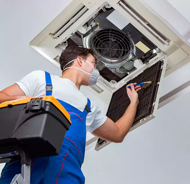 Why Homeowners & Businesses Trust Us in Mountlake Terrace, WA