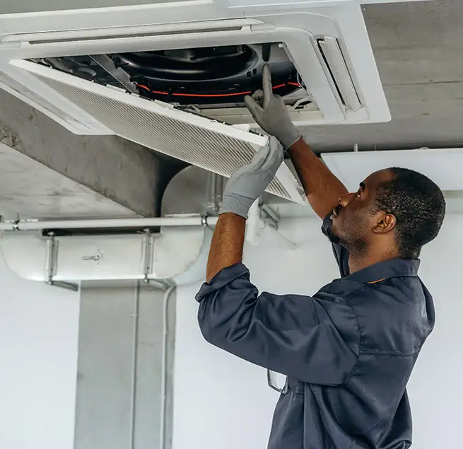 Why Homeowners & Businesses Trust Us in Mountlake Terrace, WA?