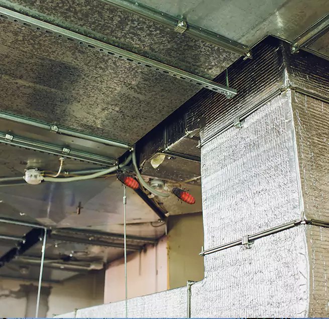 Why Homeowners & Businesses Trust Us Mountlake Terrace, WA?