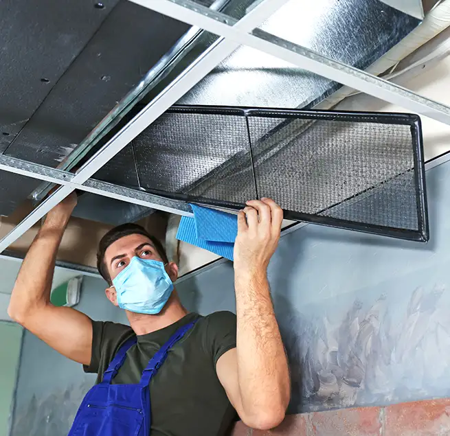 Why Homeowners & Businesses Trust Us in Mountlake Terrace, WA?