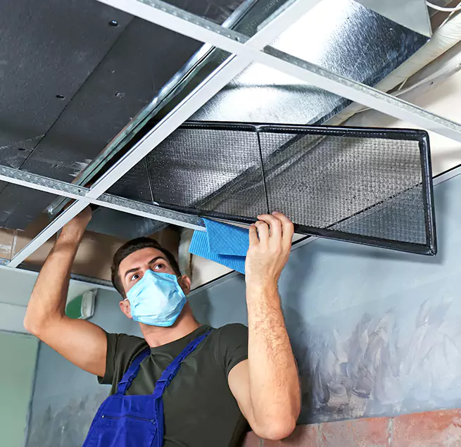 Why Homeowners & Businesses Trust Us in Mountlake Terrace, WA?